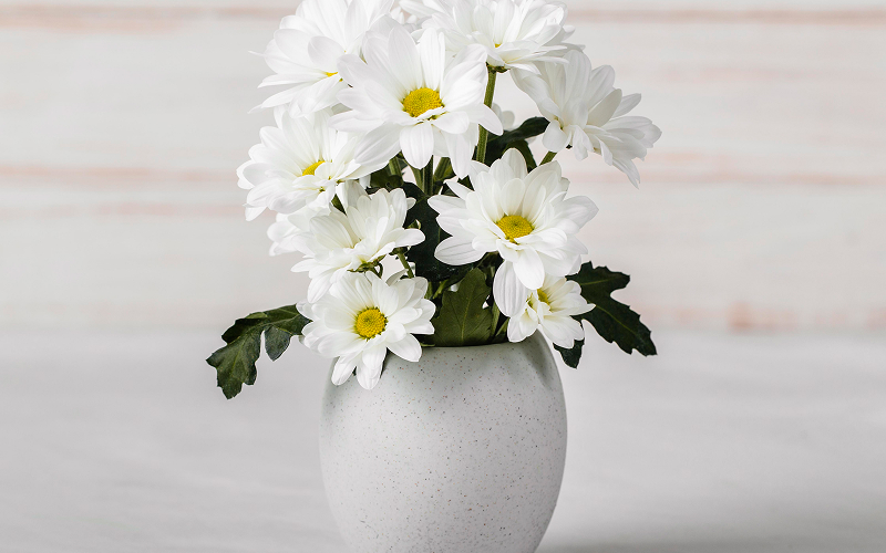 Sympathy Flowers in Singapore: A Guide to Proper Etiquette